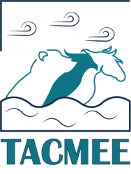 Erasmus + TACMEE төсөл